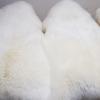 Skóra owcza biała dywan garbarnia skóry owcze producent hurt